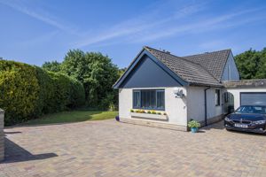 Photo 41- click for photo gallery